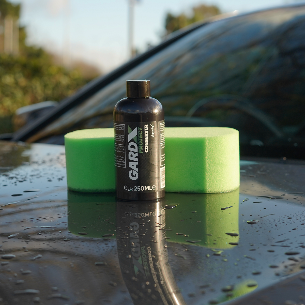 Conserver - including a free bottle of Wash & Wax